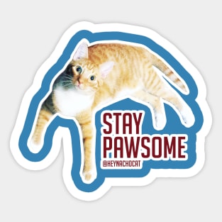 Stay Pawsome Sticker